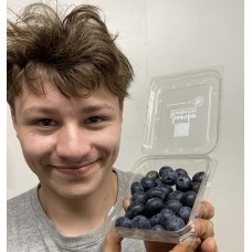 BLUEBERRIES - 125 Gram Punnet